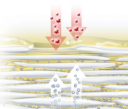 Ilustração dos fatores de hidratação natural evaporando pela pele