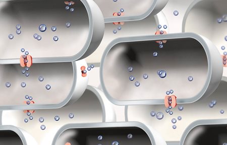 Ilustração do número limitado de aquaporinas.