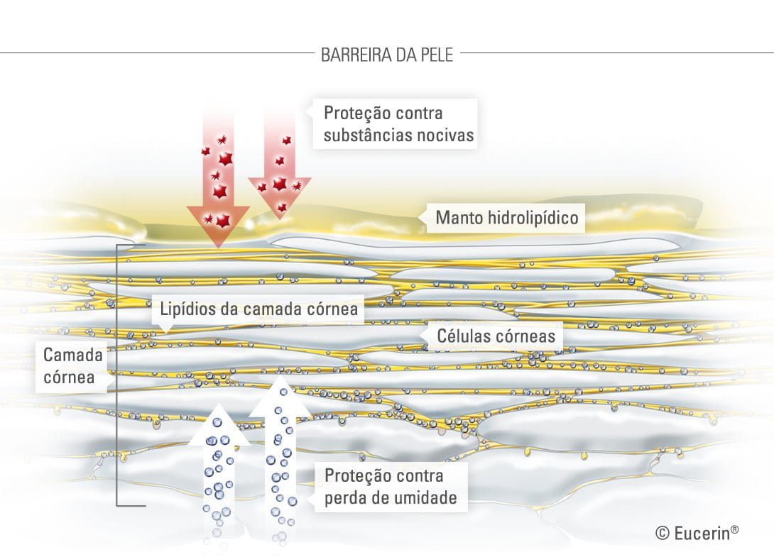 Ilustração gráfica da pele e sua camada córnea.